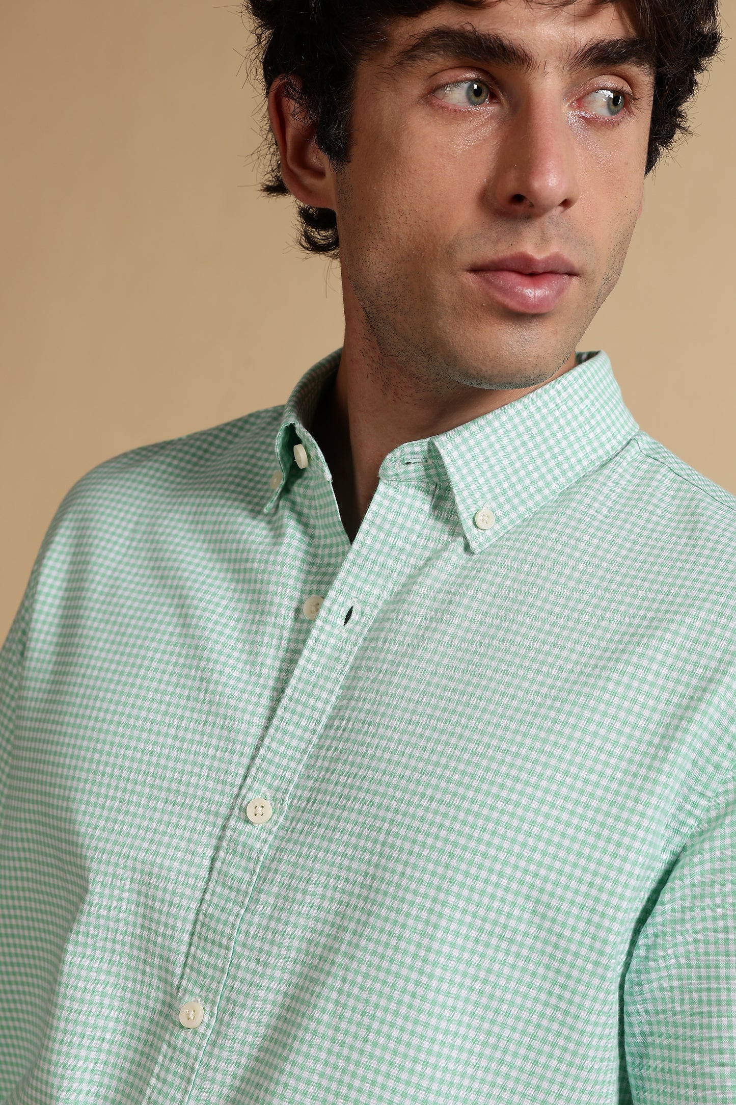 Cotton Oxford Slim Fit Mini Checks Shirt Lt Green